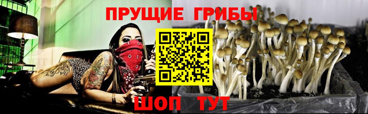 Галлюциногенные грибы MAGIC MUSHROOMS Усть-Кут